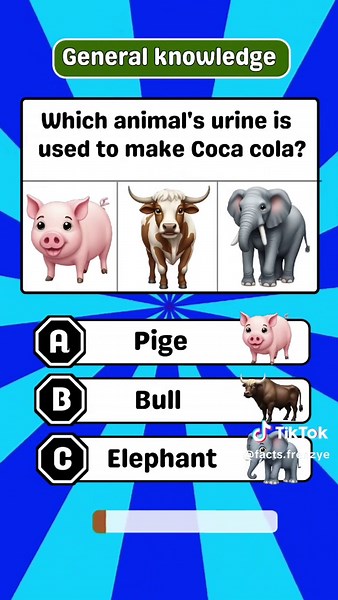 Animal General Knowledge Quiz Challenge
