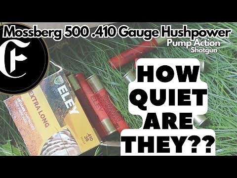 How Quiet is a Mossberg Hushpower .410 gauge?? | Field Test | Shooting a Mossberg Hushpower