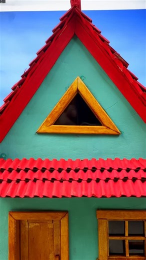 DIY MiniHouse on Instagram: "I Built a Tiny House for My Son… His Smile Was Worth Everything🏡🧱#viralreels #reels #diy"