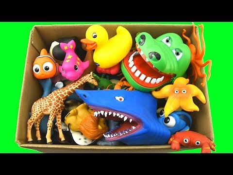 Learn With Wild Animals In A Box Of Fun Kids Toys