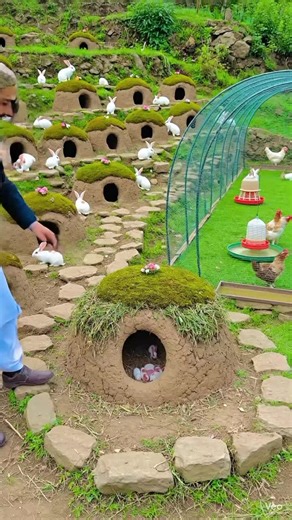 Adorable Rabbit Birth on a Beautiful Farm