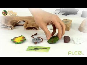 PLEO rb - What´s in the box