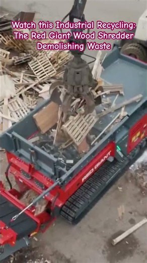 The Pallet Destroyer: Industrial Wood Shredder in Action 🪵 #industrial #heavyequipment #shredder