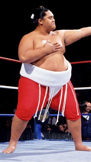 Our first Survivor Series feature heads back to the 1992 edition of Survivor Series - a year of transition for the WWF. Icons of the ’80s were fading from the spotlight, and a new generation of Superstars was stepping up to define the future. The Survivor Series that year reflected this shift perfectly - blending the final echoes of the Golden Era with the spark of what would become the “New Generation.” Held at the Richfield Coliseum in Richfield, Ohio, on November 25th, 1992, Survivor Series m