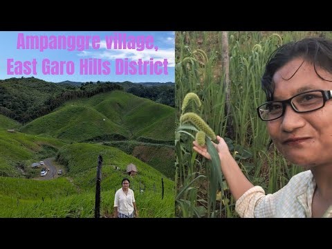 Ampanggre village, East Garo Hills District.🌾🌽🌶️🍅🍁 🙂