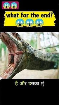 Killer Anaconda Attack 😨 Jungle Survival Horror Story | Explained in Hindi