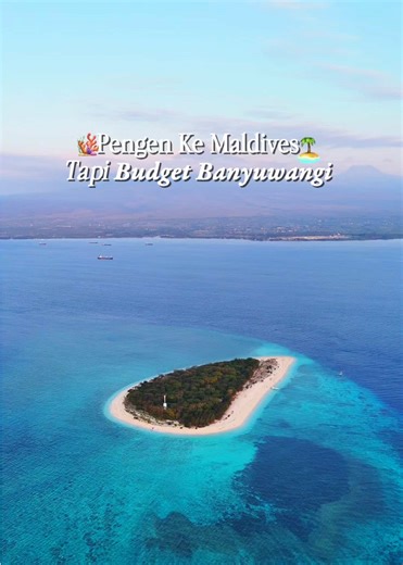 Pingin ke Maldives tapi Budget Banyuwangi?😱‼️ Bisa Dong🙌🏻😍 Daripada jauh-jauh ke Maldives cobain deh trial dulu ke Pulau Tabuhan, Banyuwangi🥳 Sensasi view pulau kecil yang indah, ditambah air laut yang jernih bikin nyaman buat healing nya✨🌊 Buruan cobain ikut open trip seru kesini cuma 200 ribuan aja🌿👋🏻 Booking sekarang yah‼️ Ada salam dari kami, sampai jumpa di banyuwangi✨🤩 #tabuhanisland #tabuhan #banyuwangi #banyuwangihits #banyuwangitiktok