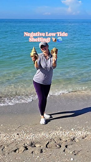 9.7K views · 651 reactions | Negative low tide shelling! #shelling #swflorida #lowtide #shells #seaglass | The Seashell Mermaid | Facebook