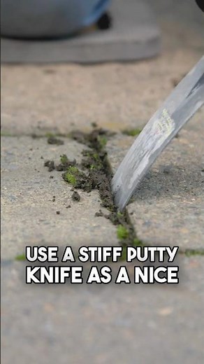 One Way to Remove a Paving Stone: Use a Putty Knife 🛠️