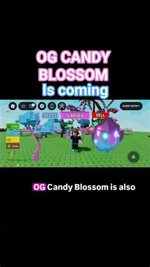 OG CANDY BLOSSOM is coming in grow a garden