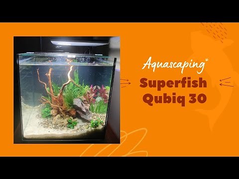 Aquascaping superfish qubiq 30 pro aquarium fish tank