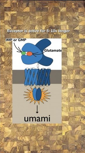 Science of Umami