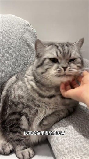 Mimi's Cuteness Unleashed: The Adorable Baby Shovel Adventure