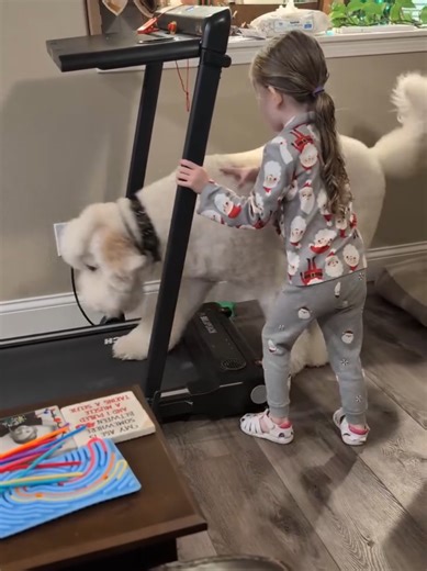 Best Friends: Family Time with a Golden Doodle