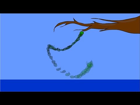 Drawing and Animating a Realistic Leaf Falling From a Branch | 2D Animation in Animate CC