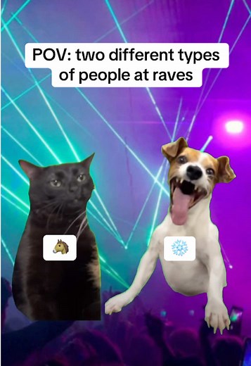 🤣🤣🤣 #ravememe #rave #ravehumour