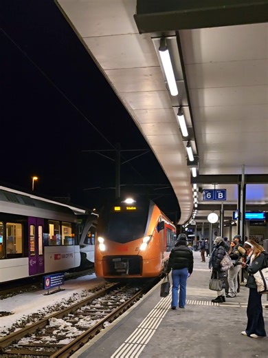 Exploring St. Gallen in Winter: Nature's Beauty