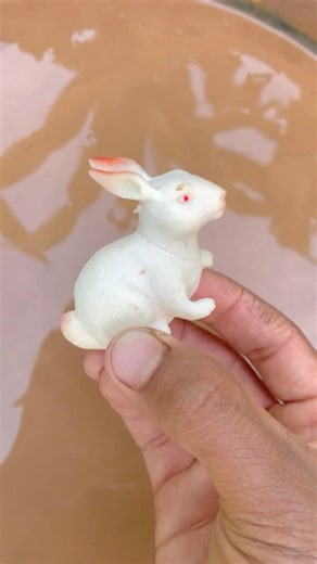 Cleaning a small Rabbit ASMR Sastisfying Mud