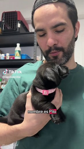 Mis primeros días con mi cachorro salchicha
