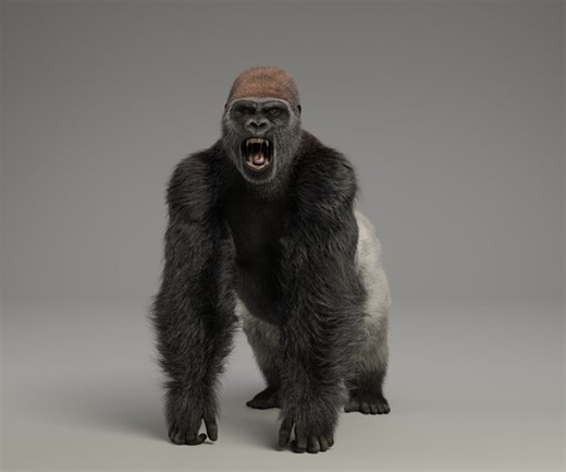 ArtStation - Silverback Gorilla Animated | VFX Grace | Game Assets