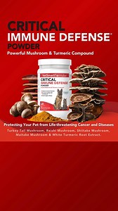🍄 ⚡️ 𝗦𝗮𝗺𝗲 𝗧𝗿𝘂𝘀𝘁𝗲𝗱 𝗙𝗼𝗿𝗺𝘂𝗹𝗮, ✨𝗙𝗿𝗲𝘀𝗵 𝗡𝗲𝘄 𝗟𝗼𝗼𝗸! | Pet Wellness Direct