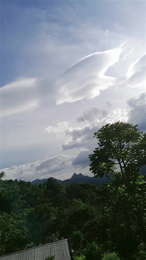 Videos de sulema (@sulema4263) con “sonido original - corridos27”