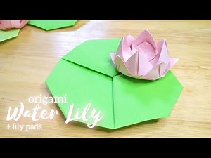 Paper Water Lily - Origami Lotus flower step by step