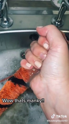 How to Clean Shark Cordless Vacuum - Step-by-Step Guide