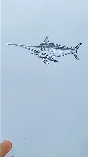 How to Draw a Swordfish Easy | Step by Step Drawing Tutorial