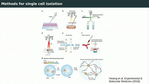 single-cell RNA sequencing
