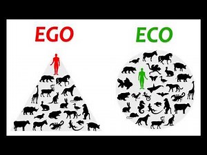 ECO vs EGO