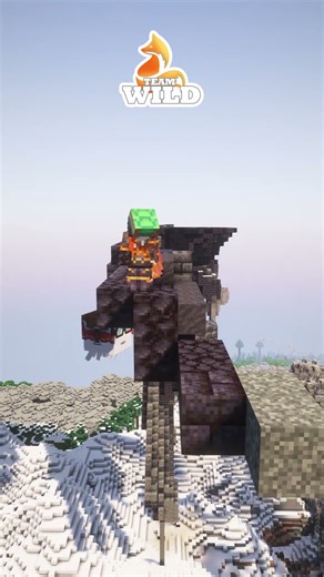 Minecraft Raven Build Timelapse