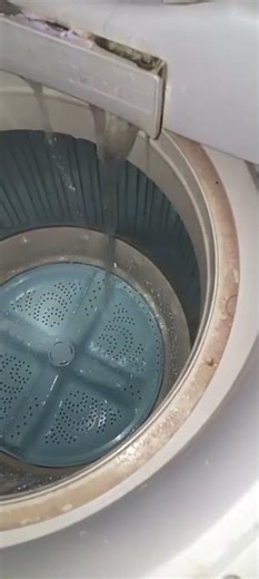 Cleaning the washing machine impeller