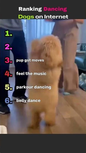 Ranking Dancing Dogs in Internet