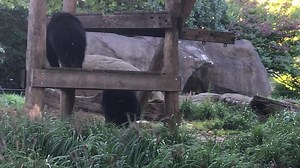 Cecily Tynan on Reels