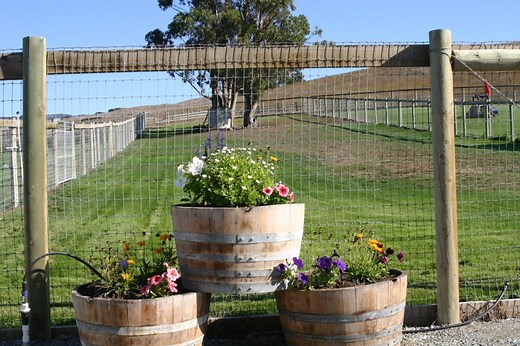 Dog Boarding in Sonoma County - Dairydell Dog Boarding & Training