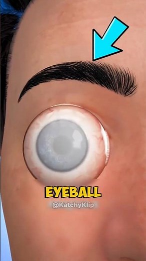 What If Your Eyeball Popped Out eyes popped out