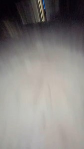 283K views · 5.7K reactions | Don’t let Lady Gaga see this @ladygaga #ladygaga #meme #funny #pets #cute #scary #gaga | MisterMainer | Facebook