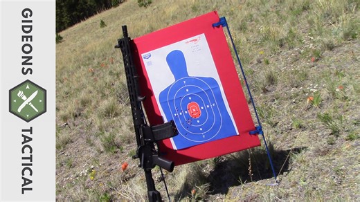 Cheap target stands by Birchwood Casey reviewed