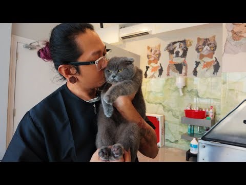 Kissing my Cat clients, yay? or nay?