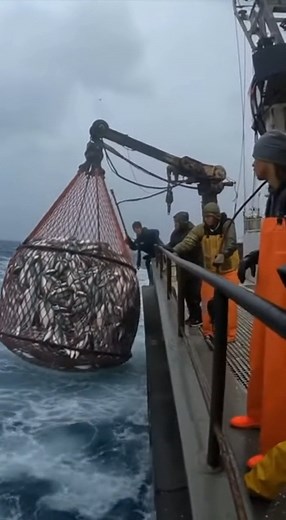 31K views · 153 reactions | Fishing skills on Reels | Facebook