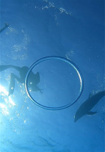 Discover Family-Friendly Tours in Hurghada, Egypt