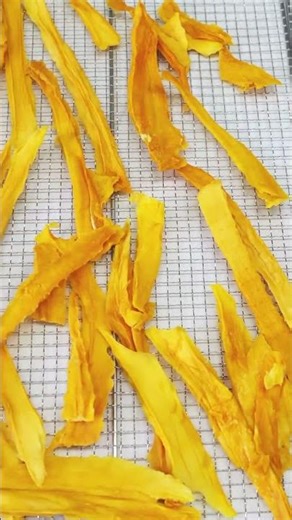 This is a mango that is dehydrated by dryer! Which do you prefer, dried mango or freeze-dried mango?