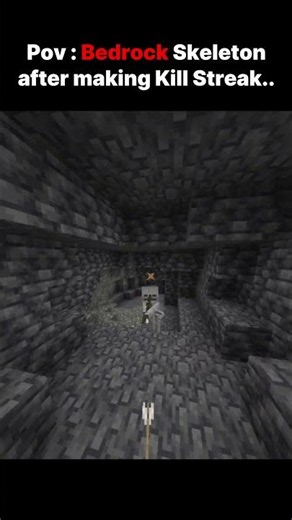 POV : Bedrock Skeleton Be like..