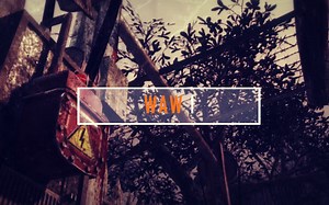 【COD僵尸模式剧情探究 · 重制】【ZM Story Discovery RM】战火世界第一章