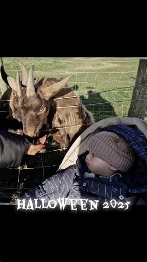 14 reactions · 3 comments | Haven’t we all had an amazing Halloween week here at Useful Vision  Don’t forget we still have spaces on some of our upcoming activities too. https://heyzine.com/flip-book/6605c49ce7.html Thank you to all our families for making this week spooktacular 慄 | Useful Vision | Facebook