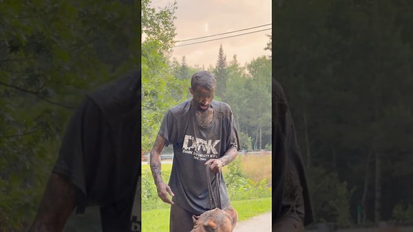 Life with dogs who love playing and rolling in the mud