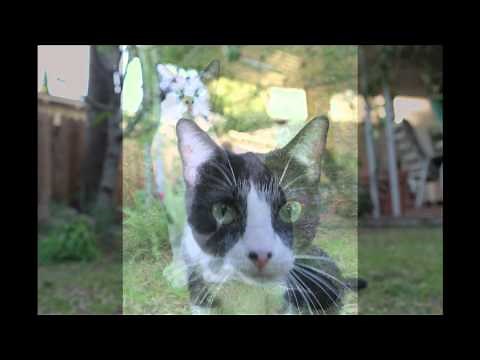 Magdalene St. Michaels - Thank You!