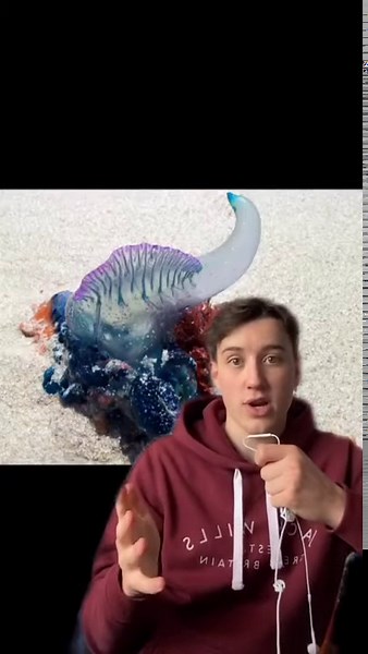 When spotting unusual beach items could signal danger