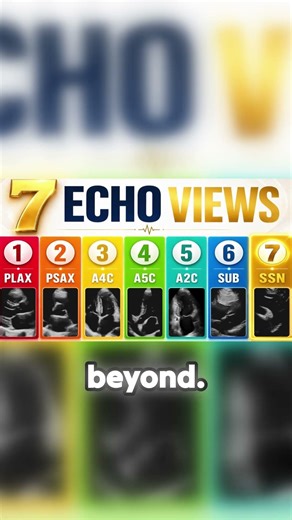 🫀 The Echo Protocol That Gets You Hired